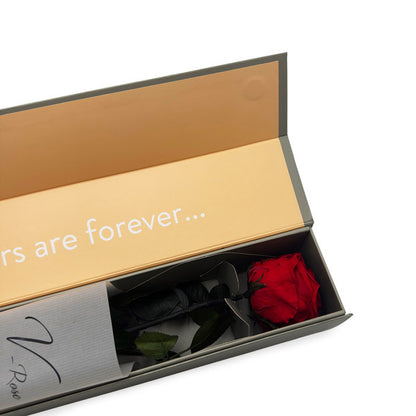 Red Infinity Rose Long Stem in Luxury Case