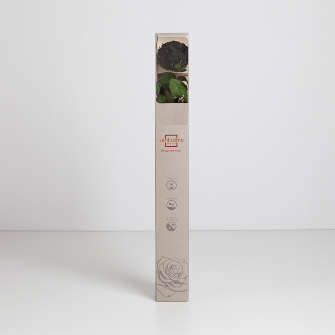 Black Infinity Rose Short Stem