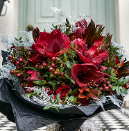 Christmas Flowers