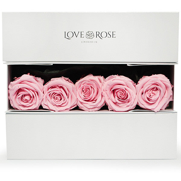 5 Infinity Pink Roses in a White Box