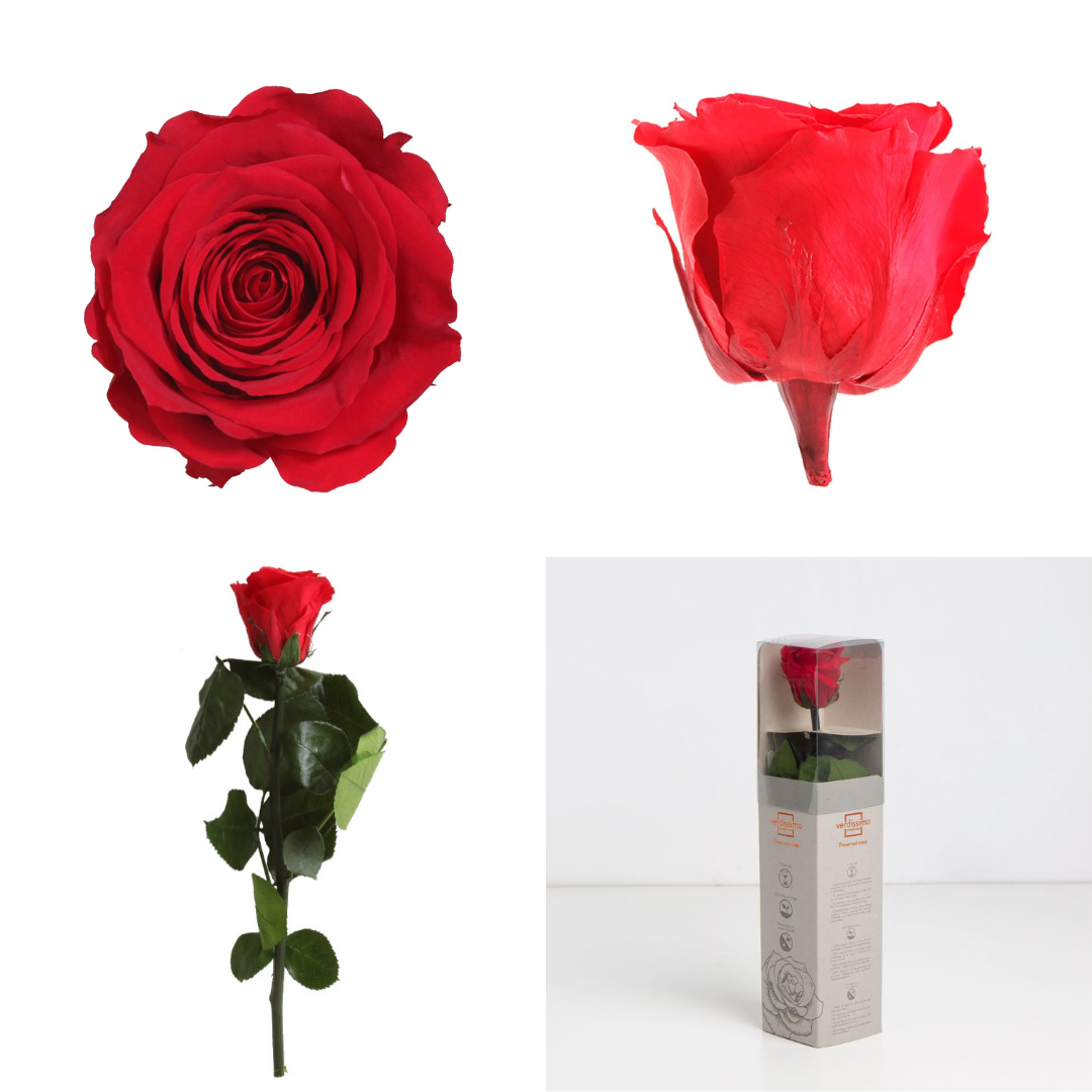 Red Infinity Rose Short Stem