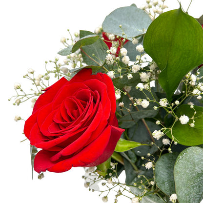 Red Rose & Gypsophil
