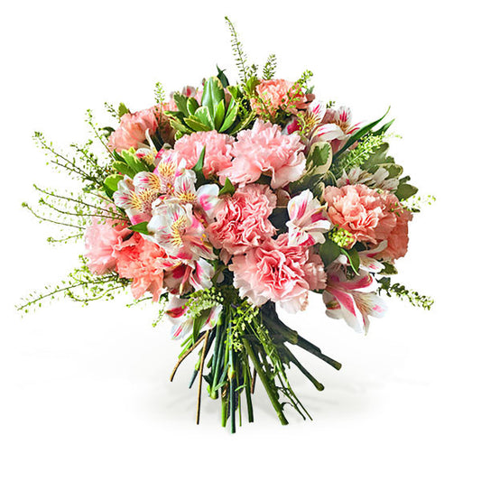 Carnation Creation